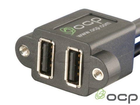 62-00186 - Dual USB A Female Panel Mnt to 10 Pos 100" Socket